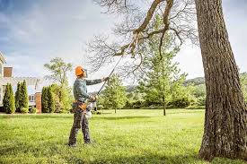 Best Root Management and Removal  in Stlman Valley, IL