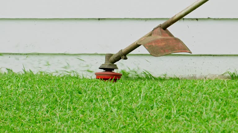 Best Tree Health Inspection  in Stlman Valley, IL