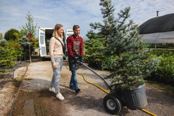 Best Storm Damage Tree Cleanup  in Stlman Valley, IL